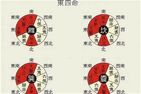 离卦 东四命|何为东四命、西四命？怎么算？看这一篇就够了！